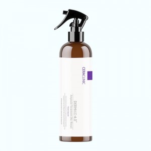 Придбати оптом Спрей для волосся DERMAID 4.0 Ampoule Treatment (No-Rinse) Protein Quench, CERACLINIC - 200 мл